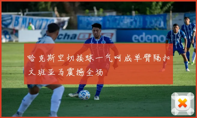 哈克斯空切接球一气呵成单臂隔扣文班亚马震撼全场