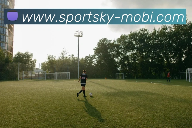 开云体育发展历程