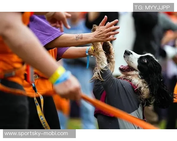 马克西携爱犬挑战敏捷赛道现场观众热情高涨达15000人 马克西携爱犬挑战敏捷赛道现场观众热情高涨达15000人